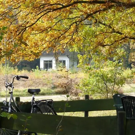 Tiny House De Berken Hotel