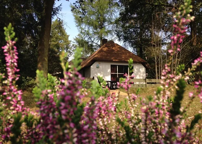 Tiny House De Berken Hotell
