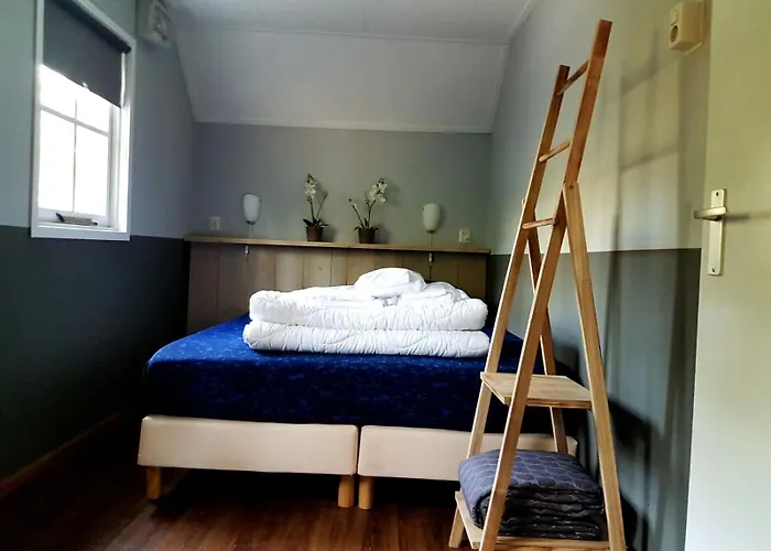 Tiny House De Berken Hotell