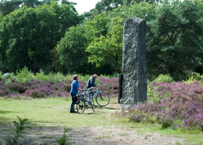 Tiny House De Berken Hotell