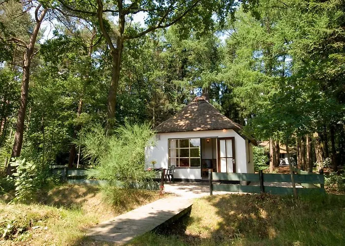 Hotell Tiny House De Berken *