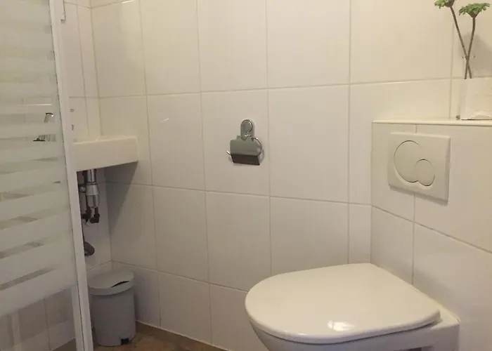 Tiny House De Berken *