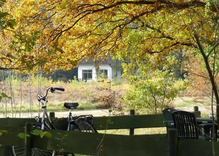 Tiny House De Berken Hotell