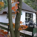 Tiny House De Berken Hotel