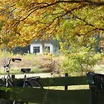 Tiny House De Berken Hotel