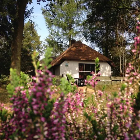 Tiny House De Berken Hotel