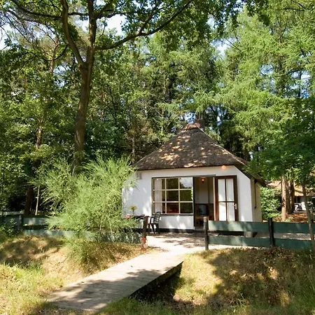 Hotel Tiny House De Berken *