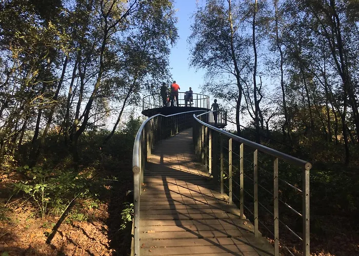 Tiny House De Berken Otterlo