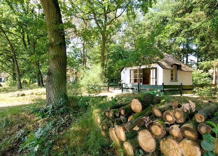 Hotel Tiny House De Berken Otterlo