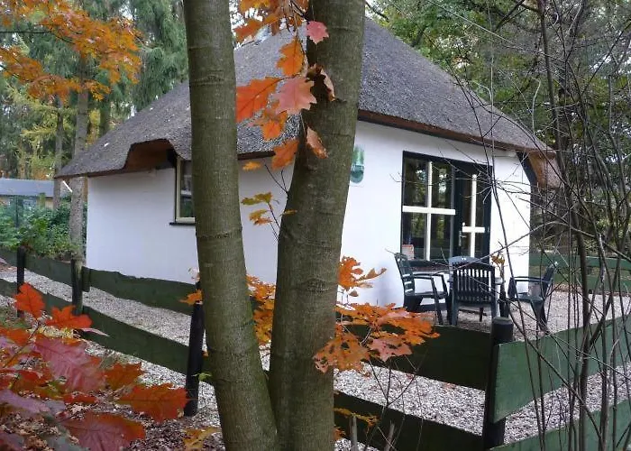 Tiny House De Berken Hotel