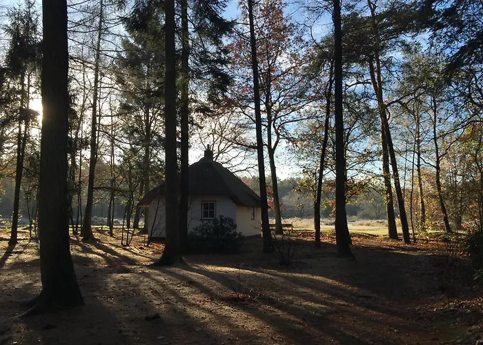 Tiny House De Berken Hotel Otterlo